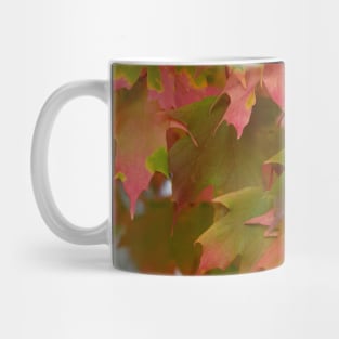 colorful fall maple leaves thanksgiving Mug